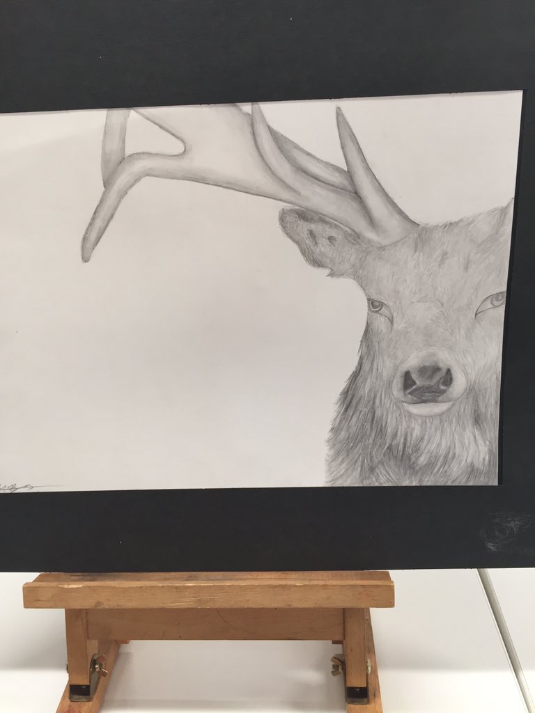 Heather Harrison tweet media