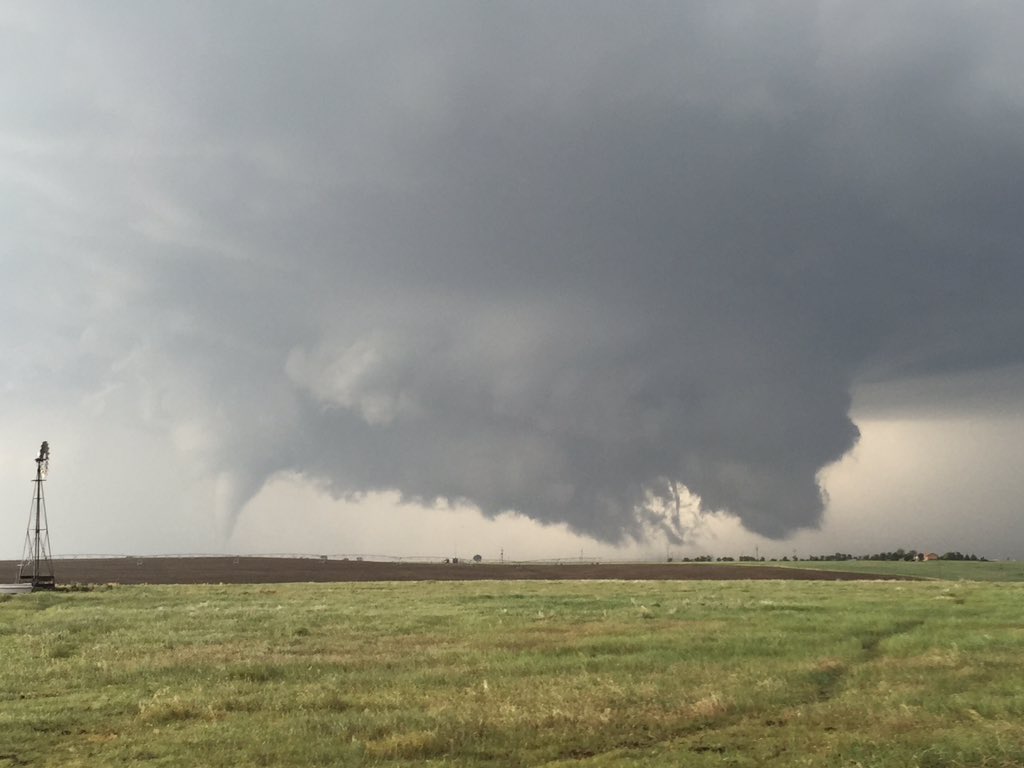 View image on Twitter