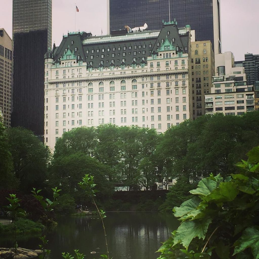 travelingstyle1's tweet image. Missing this view in NYC. #NYC #plazahotel #centralparkviews #centralpark #travelingstyle