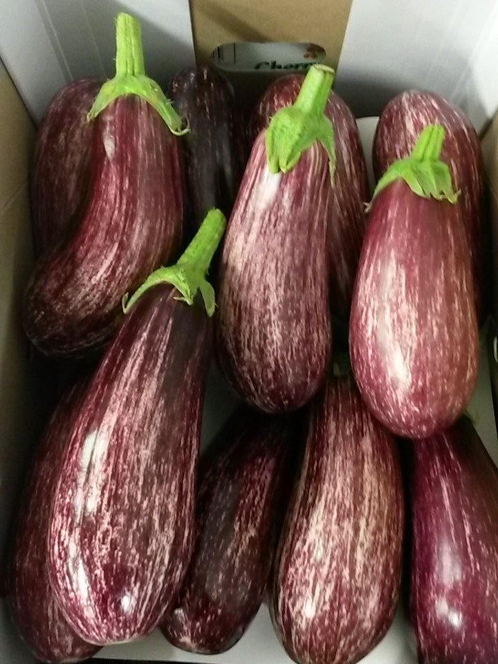 TotalPWolves's tweet image. Graffiti aubogene fresh today @TotalPWolves @VGIHolland