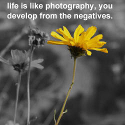 mass_message's tweet image. #Life is a #photograph, you develop from the #negatives.