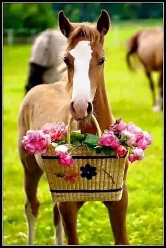 <a href="/caforiomelia/">colibri'75</a> <a href="/gherbitz/">Claudia 🐾🐧🐱</a> <a href="/davidsin7/">David</a> Hi Colibri,happy day lovely girl,hugs 💖💕💖💕