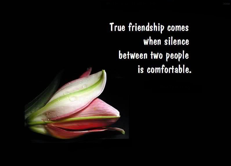 BulkMessage's tweet image. True #friendship comes when #silence between two people is #comfortable.