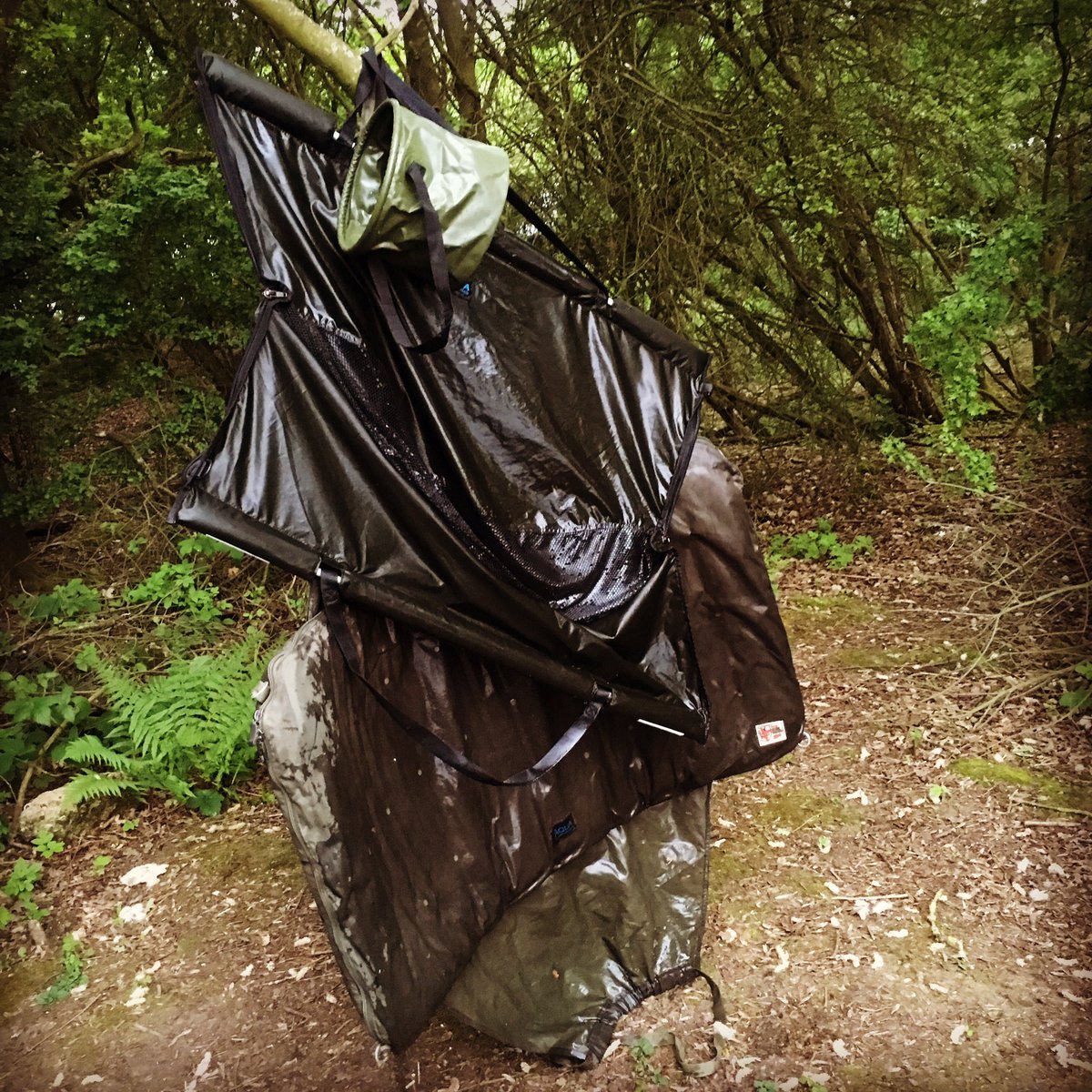 Flying the 'carpy' flag... #mainlinebaits