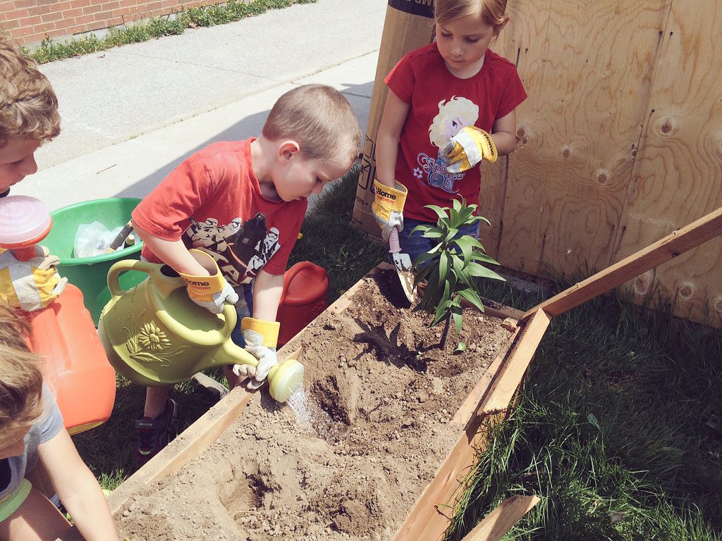 parkview_fdk_bb's tweet photo. Transplanting tiger lilies into our garden box. https://t.co/0Dl7uYerym