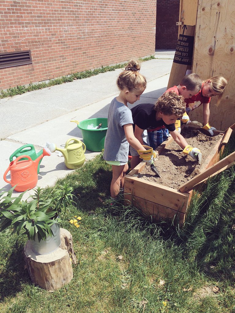 parkview_fdk_bb's tweet photo. Transplanting tiger lilies into our garden box. https://t.co/0Dl7uYerym