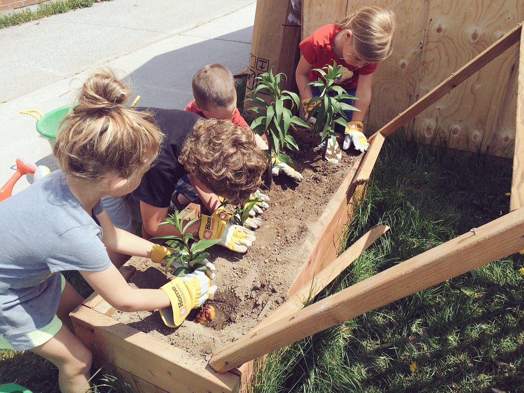 parkview_fdk_bb's tweet photo. Transplanting tiger lilies into our garden box. https://t.co/0Dl7uYerym