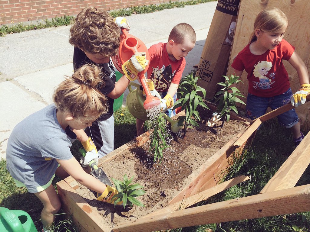 parkview_fdk_bb's tweet photo. Transplanting tiger lilies into our garden box. https://t.co/0Dl7uYerym