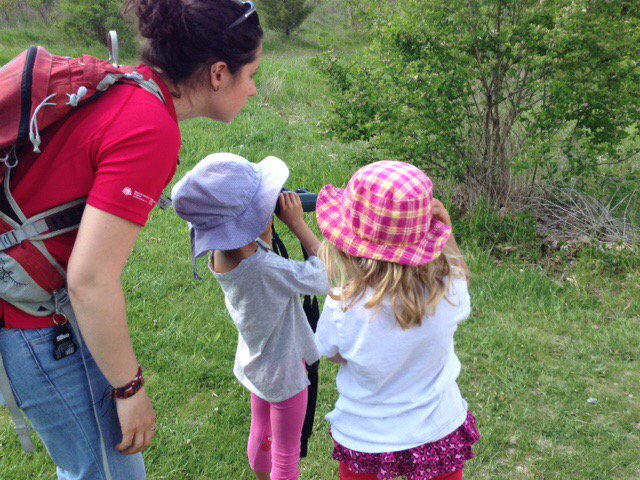 steinbergler_c's tweet photo. So endearing when a youngster looks through the wrong end &insists they've spotted an owl #futurebirdnerd @RougePark https://t.co/ovND29Uia6