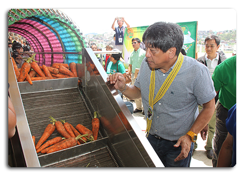 PIADesk's tweet photo. #PhilMech launches mechanized #carrot washer. Read more: https://t.co/5ZWWriCofj https://t.co/bw7evksgCt