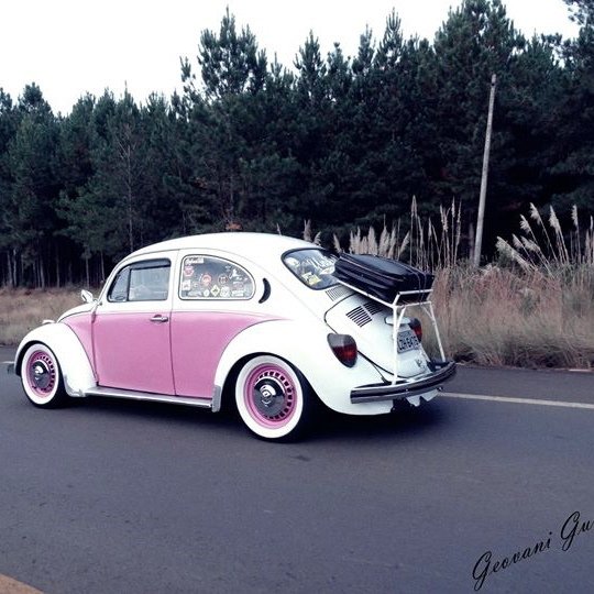oldcar_photo's tweet photo. Aaaaa o Jujuba...
#univolks #aircooled #rosa #branco #personalizado #fixa #edemenina #trip #inride #ontheroad #velh… https://t.co/tjfvCQEZSr