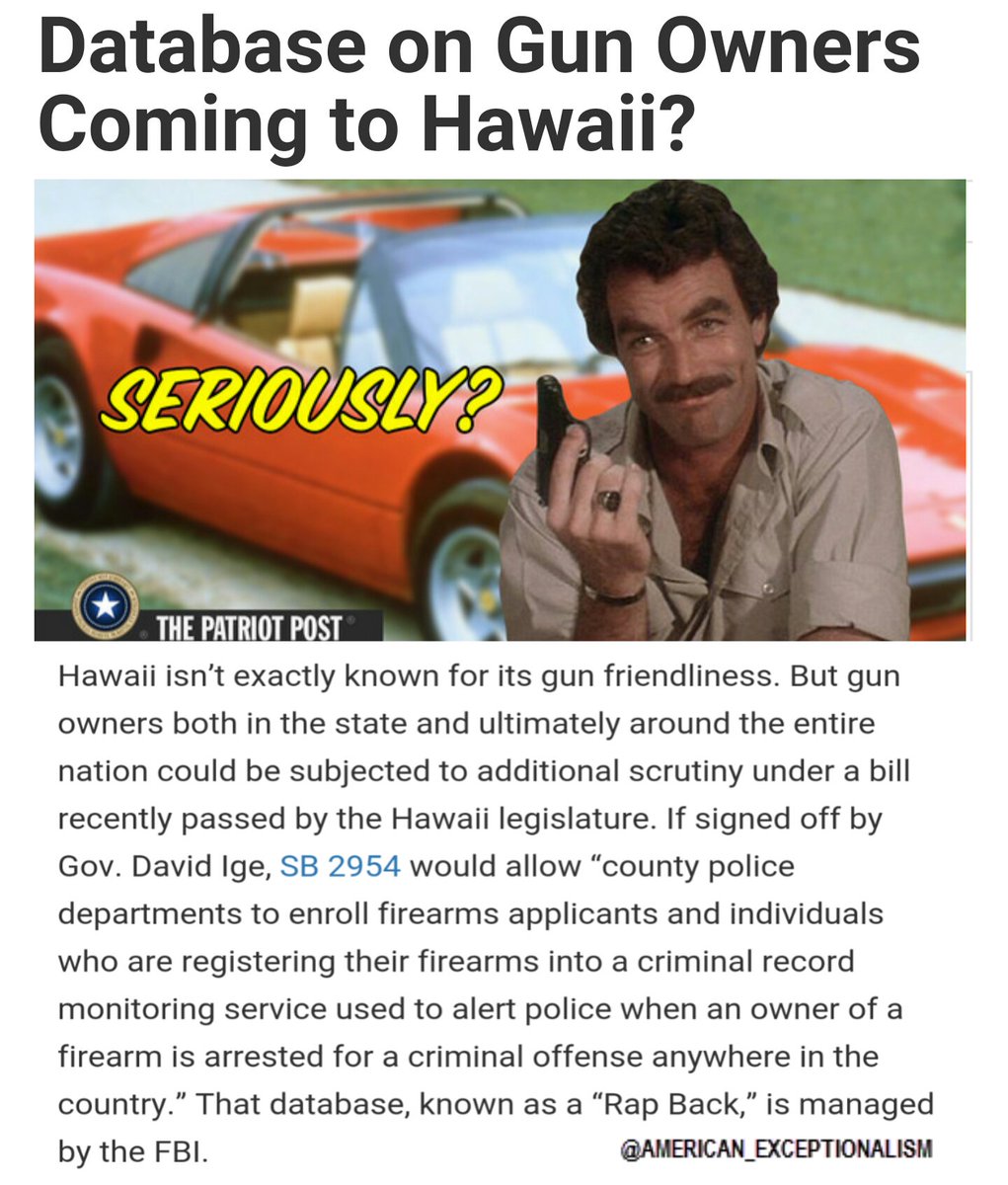 US_Exceptional's tweet image. - As PJMedia’s Liz Sheld explains, “Techdirt describes the ‘#Ra... #RapBack #FBI  goo.gl/5v7RhA