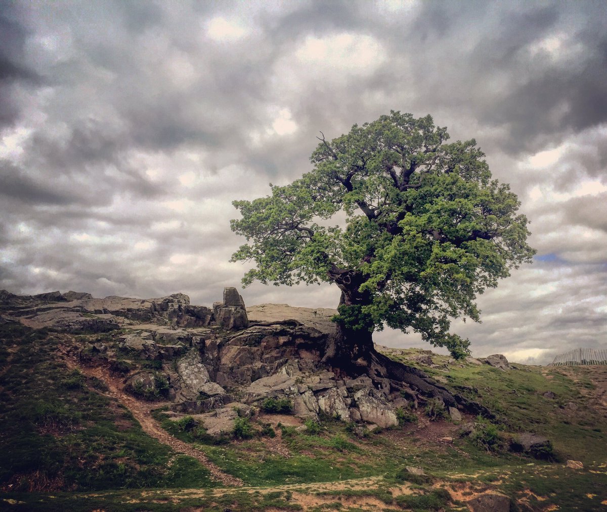 alekandsteph's tweet photo. #spring in #England ✨🇬🇧🌳✨ https://t.co/geIX6Kd0z9