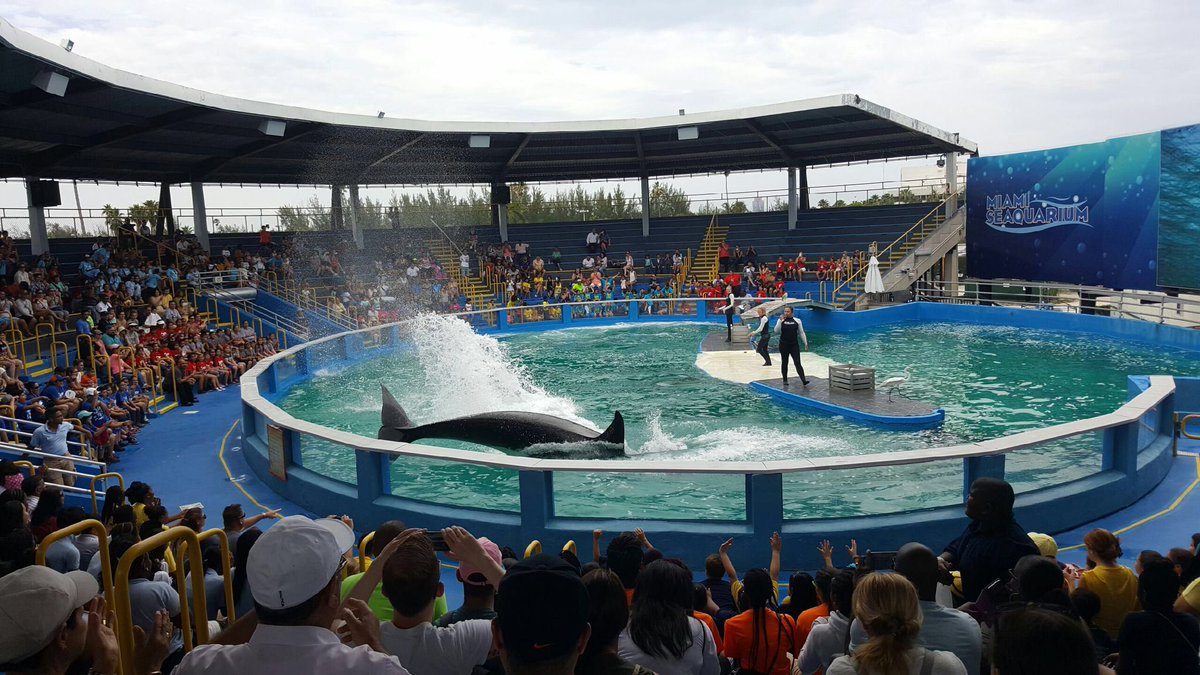 NDMS at the Miami Seaquarium
