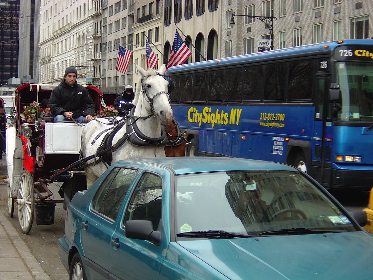 <a href="/HeadlineJohnson/">Richard Johnson</a> <a href="/PageSix/">Page Six</a> Horses-drawn carriages in midtown = inhumane &amp; unsafe. Thanks <a href="/nyclass/">NYCLASS</a> 4 being their voice