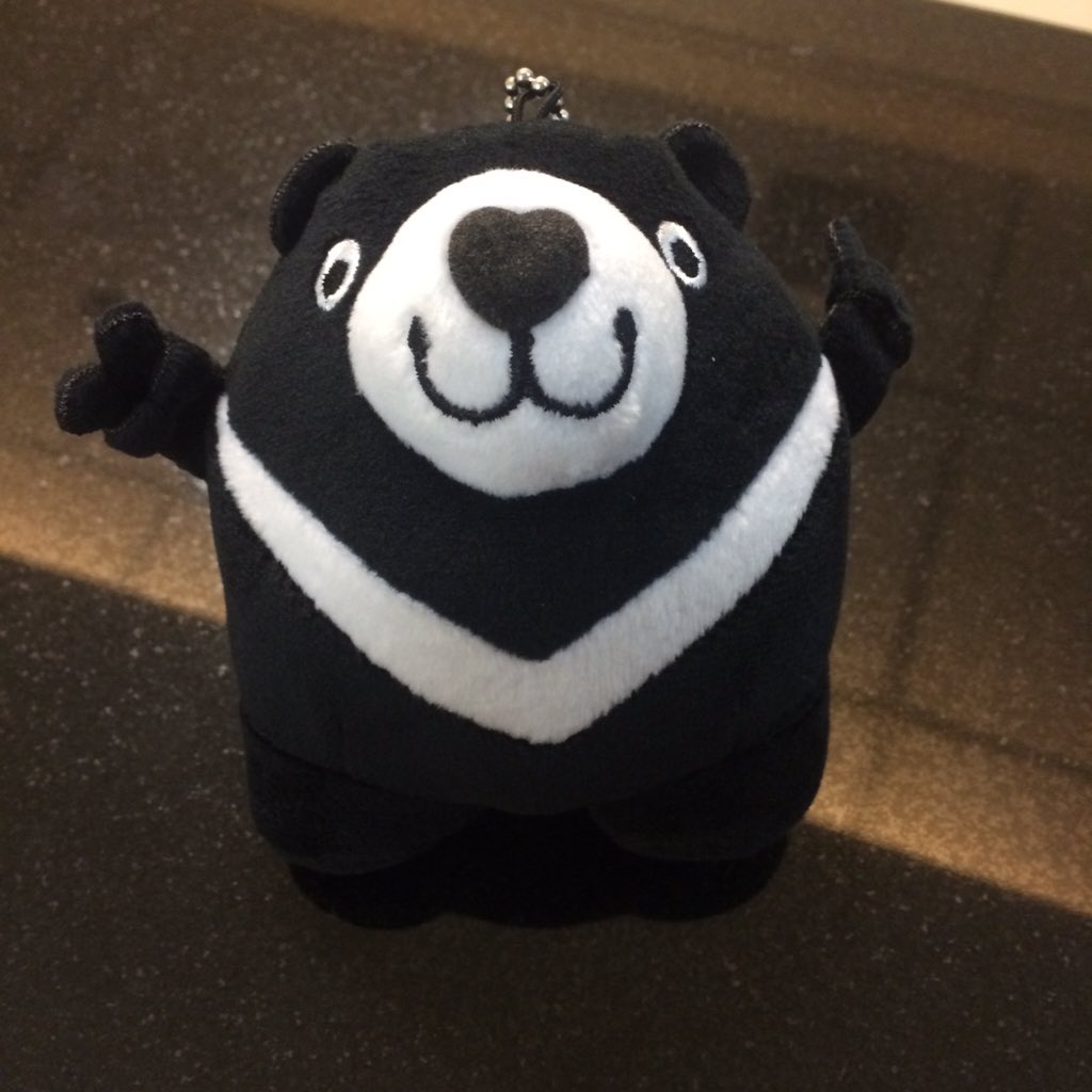 vairmnl's tweet photo. Who wouldn't want to have this cute V Bear? 🐼🐻 fly now with V Air!! #vair #vbear https://t.co/mqhVwcTN0W