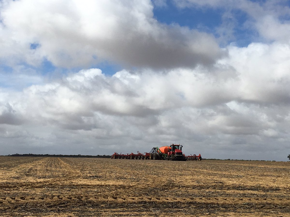 KirrileeWarr's tweet photo. Last paddock on the home farm. Straight into moisture. The end is is in sight #seeding2016 https://t.co/3kgma6KqJB