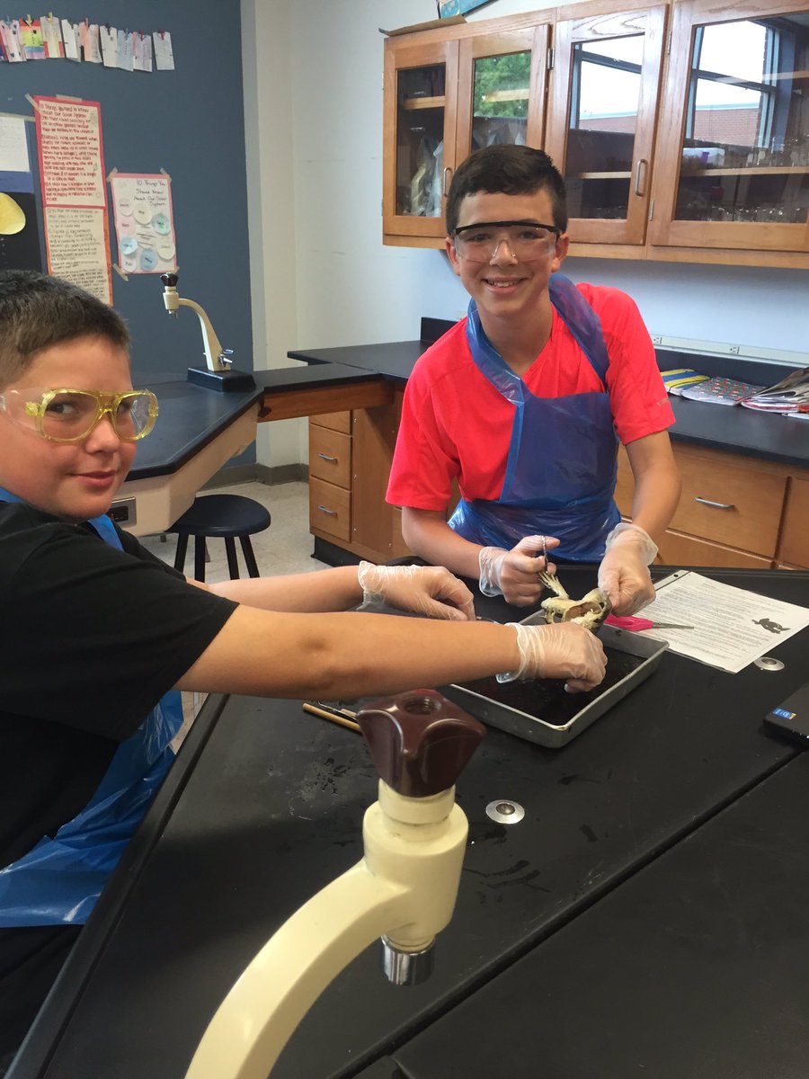 SCIENCEin406's tweet photo. Frog dissection was a success! https://t.co/Euhlhk6eSp
