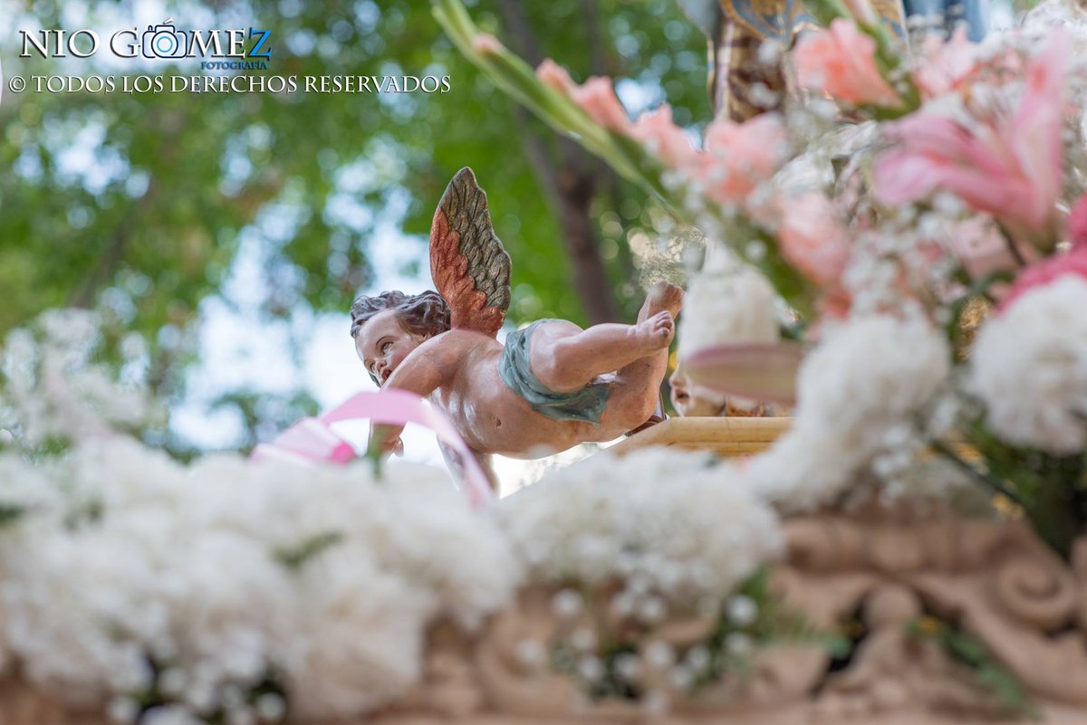 Nio Gómez tweet media