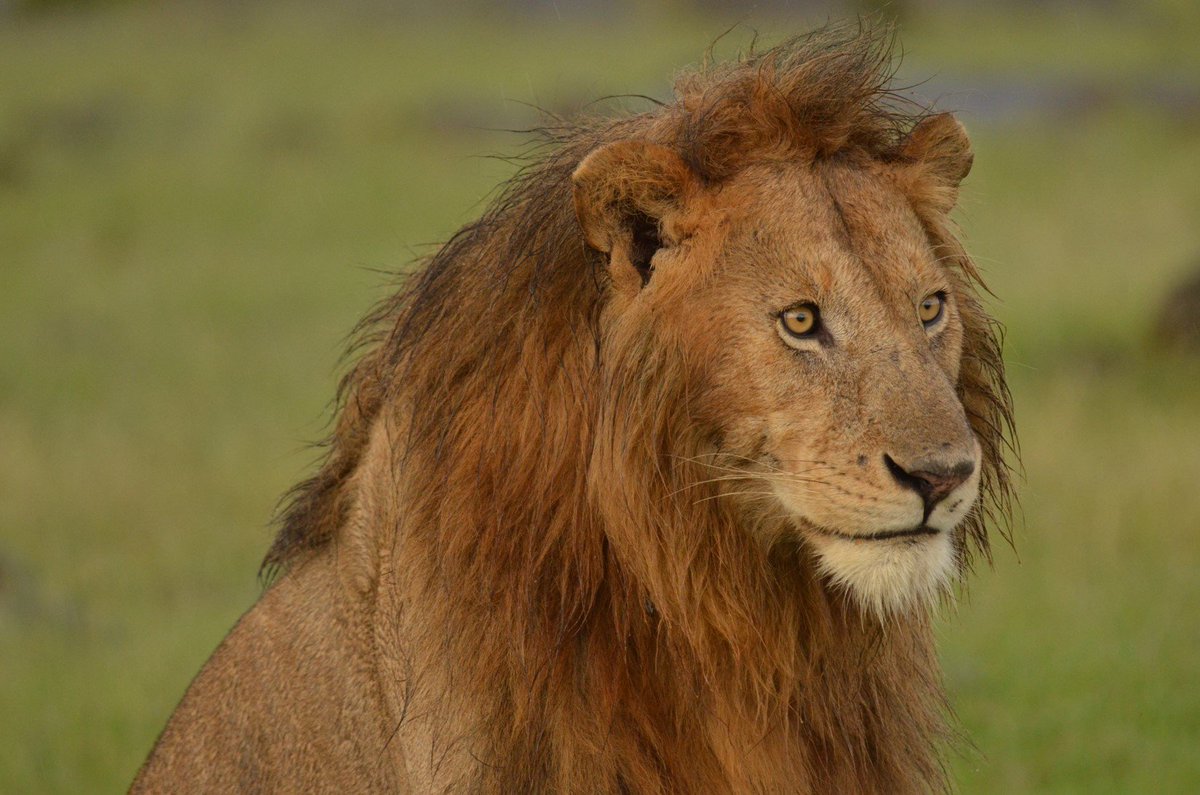 paulakahumbu tweet picture