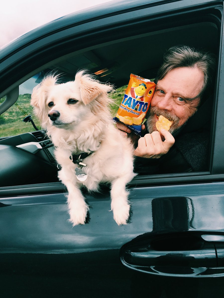 MarkHamill's tweet photo. How I will miss IRELAND! Its' Beauty-Its' People-It's...Snack Food (#MagnificentMillie on alert for #Ep8DietPolice) https://t.co/klCpbGLQ7w