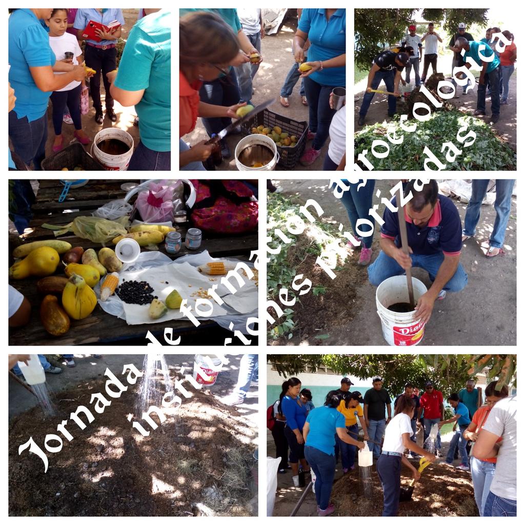 endogenomontes's tweet photo. Formación agroecologica instituciones educativas Montes Edo Sucre .@Minppau .@MPPEDUCACION .@karsanc https://t.co/YHXevRKidc
