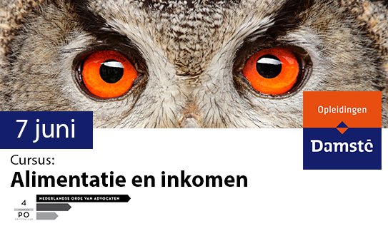 damsteopleiding's tweet image. Cursus: 'Alimentatie en Inkomen' Docenten: @robvancoolwijk &amp;amp; Tom van Baaren #vfas bit.ly/25dl8H3