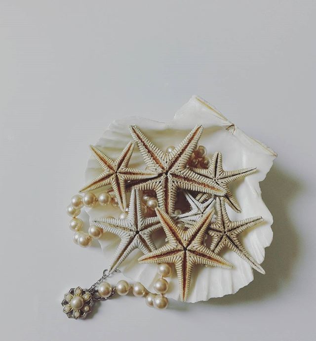 starfishstuff's tweet photo. • Astropecten •
#pearls #seashell #starfishes #astropecten #nature #physis https://t.co/fpO8JAb3Lv https://t.co/UR4iHJKpUZ