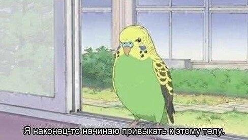kill_Dissonans tweet picture