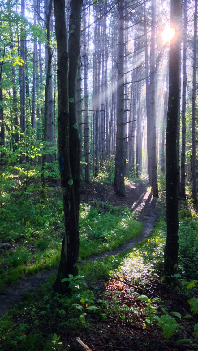 TeresaJurich's tweet photo. Early morning hike Raccoon Creek State Park @DCNRnews  @visitPAparks @WaterLandLife @PaPFF https://t.co/ku6lt2d2s8