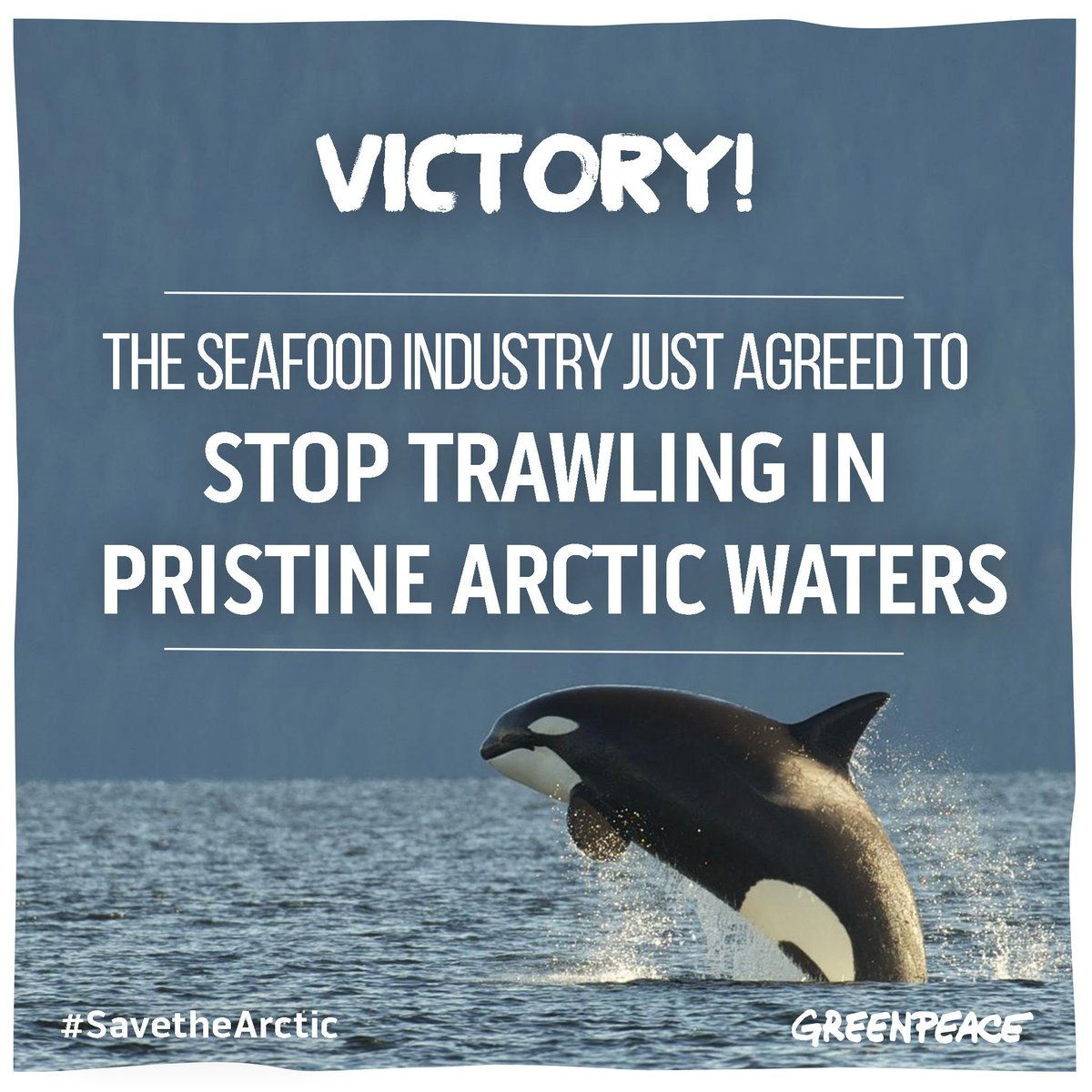 A BIG win in the campaign to #SaveTheArctic >> mo.nu/4coS?uid=4dd2 via <a href="/GreenpeaceNZ/">Greenpeace Aotearoa</a>