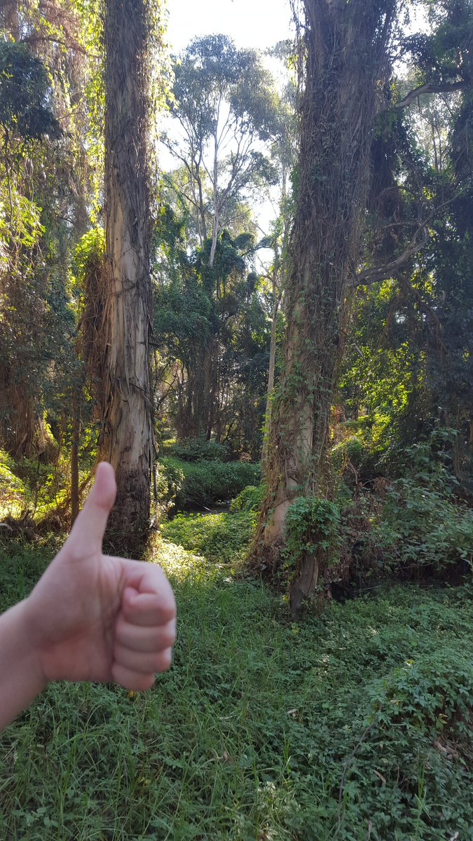 SusannahRadkew1's tweet photo. Our Lifeskills students had a great day taking a nature walk for community access &amp; travel training!
@SarahRedfernHS https://t.co/Gtwk7eaCc7