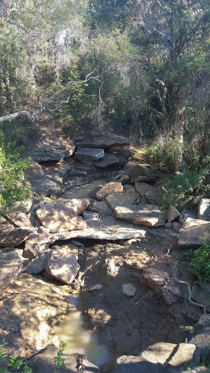 SusannahRadkew1's tweet photo. Our Lifeskills students had a great day taking a nature walk for community access &amp; travel training!
@SarahRedfernHS https://t.co/Gtwk7eaCc7
