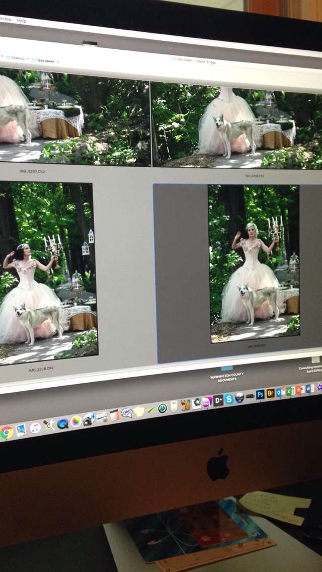 TheBasicBee's tweet image. Photo shoot time! More to come