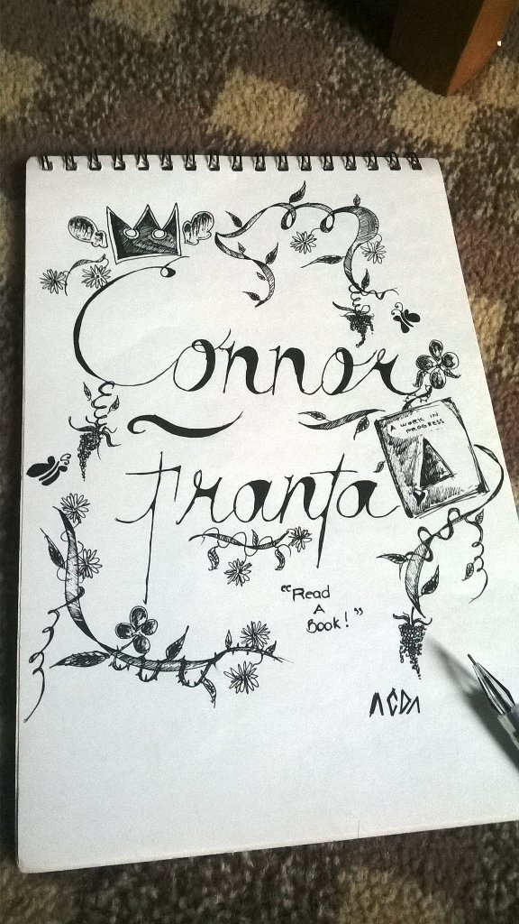 _JustAnaBanana's tweet photo. @ConnorFranta DOODLED THIS JUST FOR YOU πππ #DRAWYTFF @YouTubeFanFest #YTFF πππππ https://t.co/gj8NrPma4q