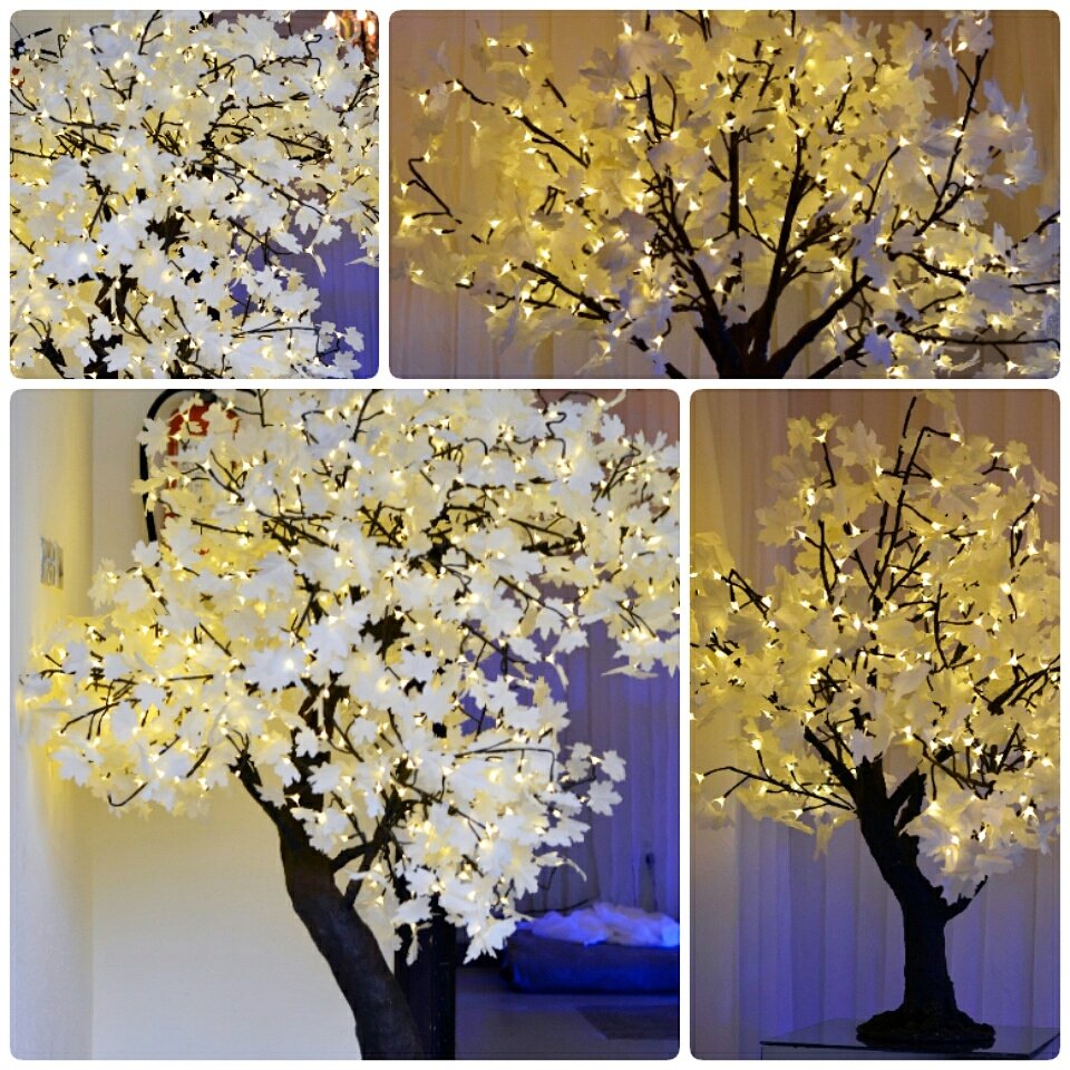cloud9eventsng's tweet photo. Beautiful Led trees suitable for all kinds of events. Available in small,medium &amp; large sizes for rental purposes. https://t.co/bz9SeNcBnj