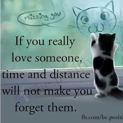 AliImmran's tweet photo. Miss u my bst https://t.co/xpOkqulnp0
