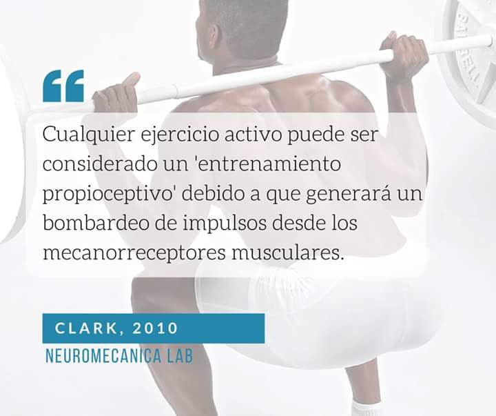 robertobarronpt's tweet photo. Aclarando conceptos sobre propiocepción #propiocepción #CommonSenseTraining #DoItRigth vía @neuromecanica https://t.co/Jbio6oQ3vL