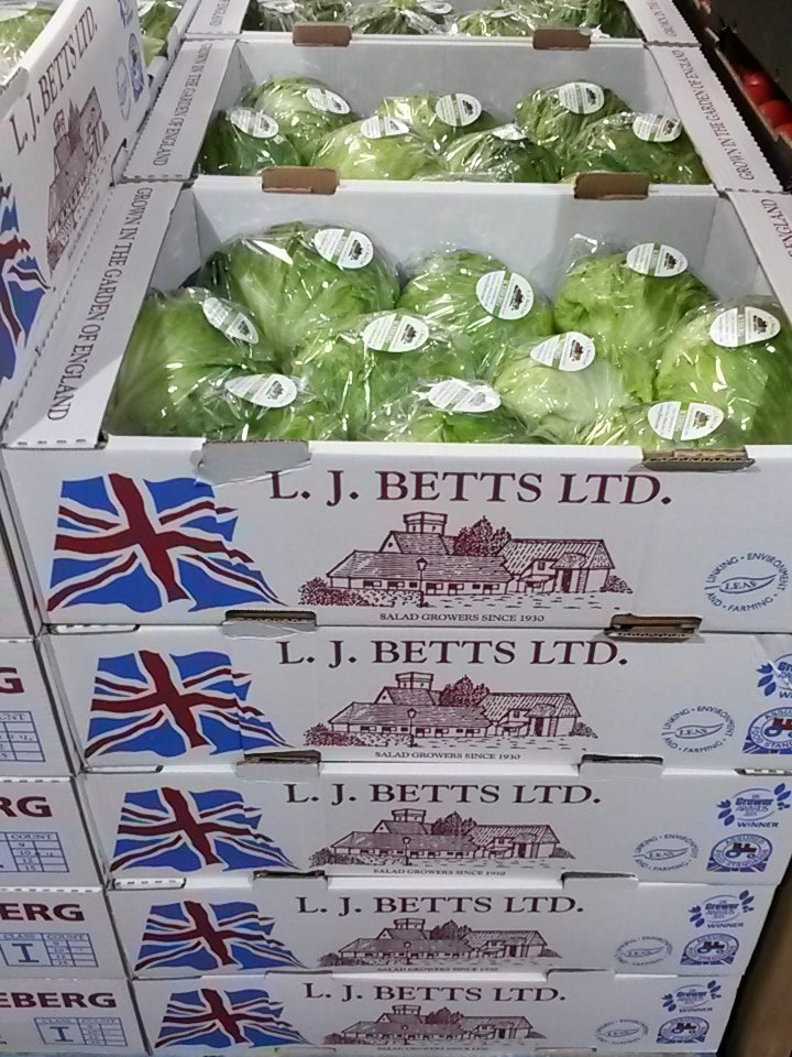 TotalPWolves's tweet image. Stunning english iceberg @TotalPWolves from @veg_uk