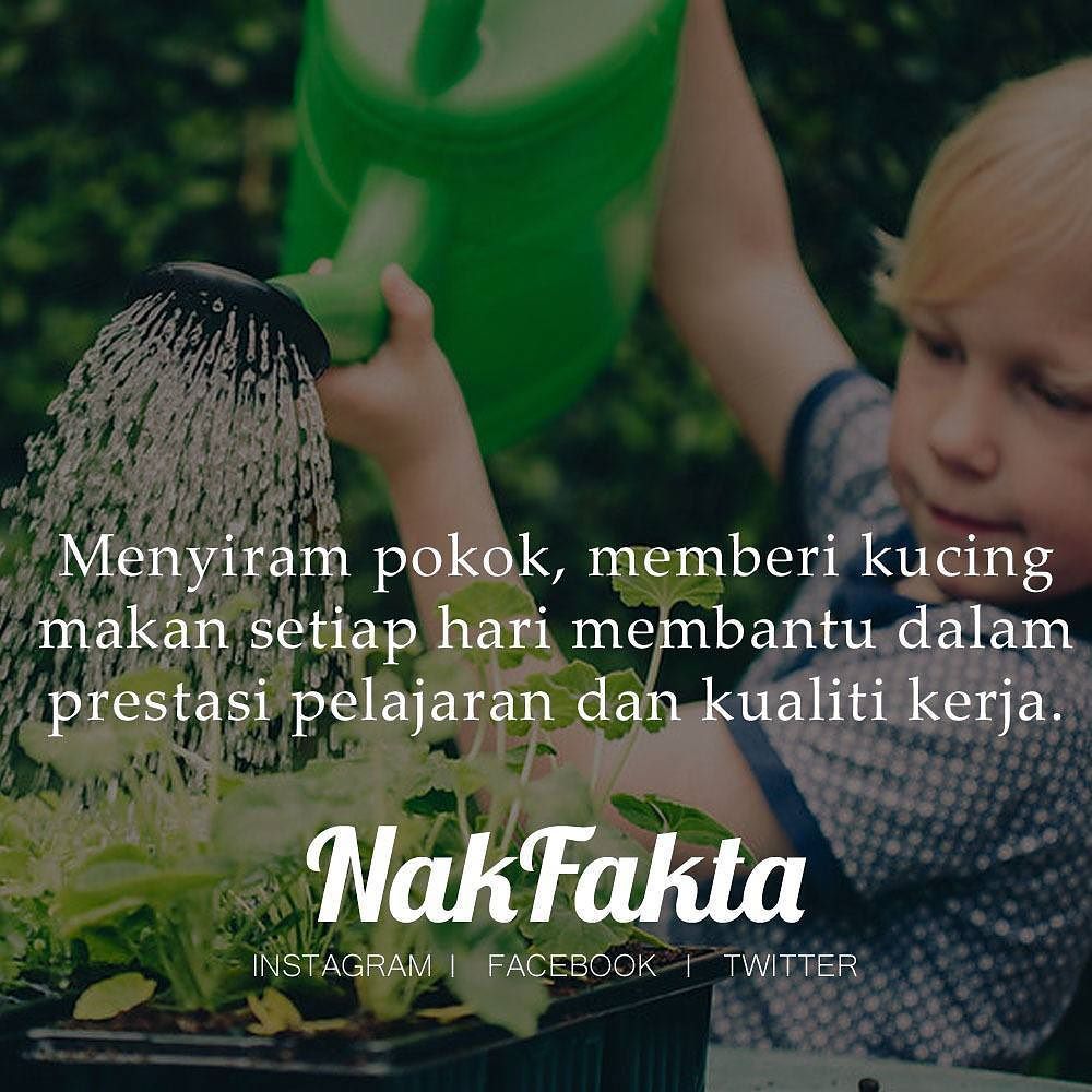 nakfakta's tweet photo. Menyiram pokok, memberi kucing makan membantu dalam pelajaran dan kerjaya #nakfakta #nakbebel https://t.co/1sjpyNdt1y