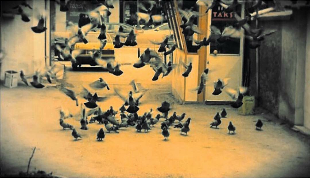 📍Merkez/Hal Durağı
Herkes açtıysa kollarını haydi kucaklaşalım💙Günaydın🙋🏻
#Bozüyükİçin #Bozüyük #HalDurağı #HalCami