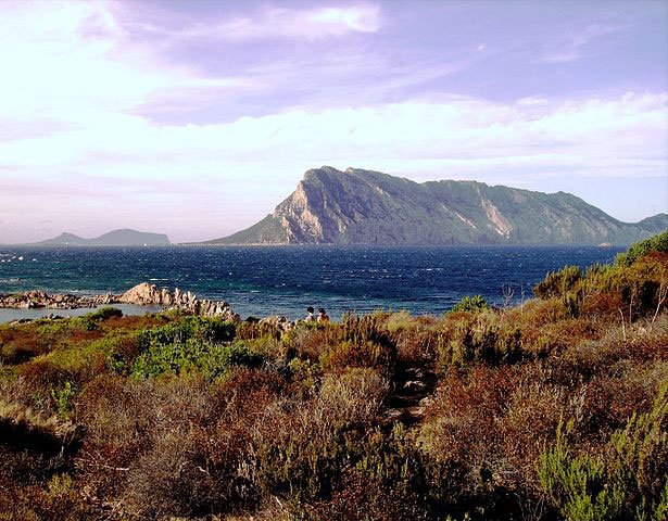 AutoOlbia's tweet photo. Cosa vedere nei dintorni di Olbia? https://t.co/y9GGQnijuY https://t.co/PePxuPAbpP