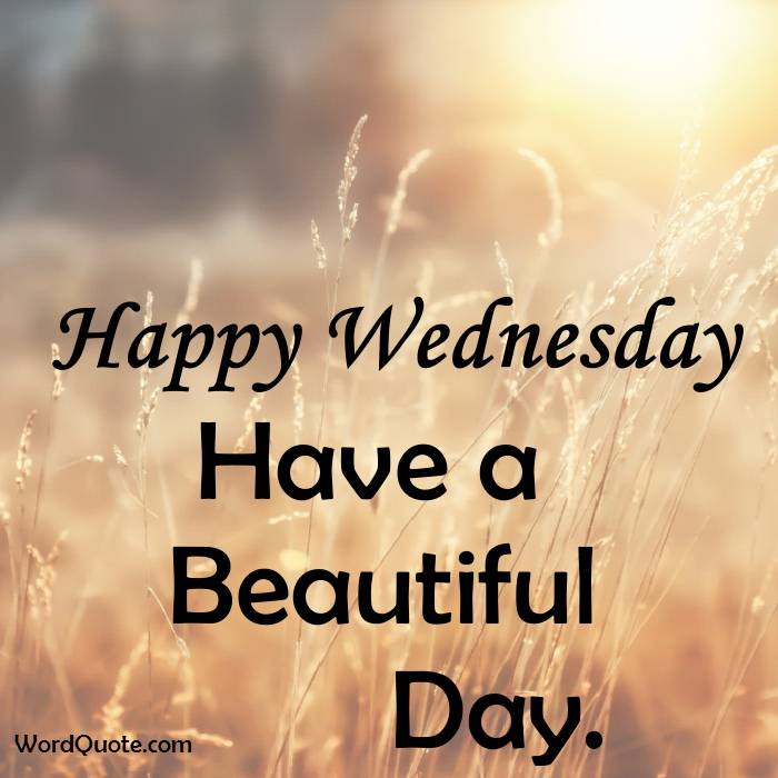 Happy Wednesday Funny Quotes Office Line S.a.s On Twitter: "Happy Wednesday! #Officeline  Https://T.co/Obxeo3Hk11" / Twitter
