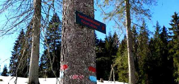 VisitOSLO's tweet image. Round 2! @david_mitchell is coming to hand over his script that no one will read till 2114! #futurelibrary #oslo