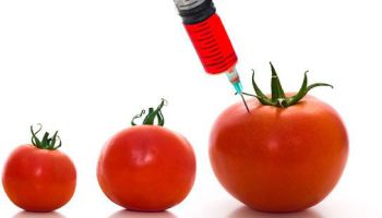 Blog Naturjoying. Hoy hablamos de: 
Los alimentos genéticamente modificados. #Nogmos
naturjoying.com/tienda/es/blog…