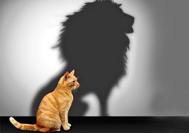 Com Deus você é sempre maioria. 2Rs6:16