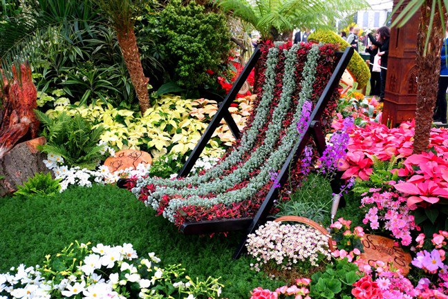 Who's on their way to the Chelsea Flower Show? Send us your pictures!