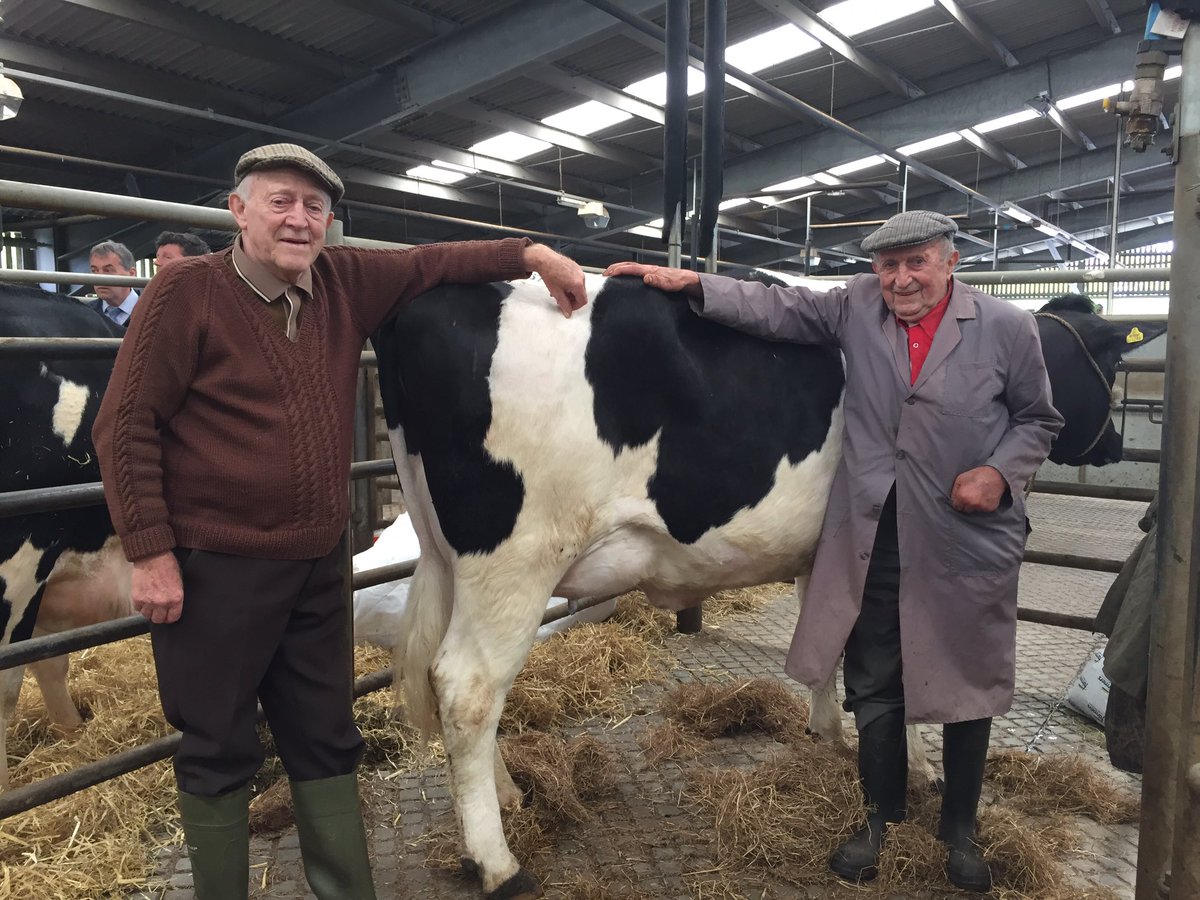 BJPmarts's tweet photo. Cerdyn (91yo) and Elwyn (79yo) Williams with the last heifer from Rhiwlug after 80 years trading at Carmarthen https://t.co/jGNA8JT62m
