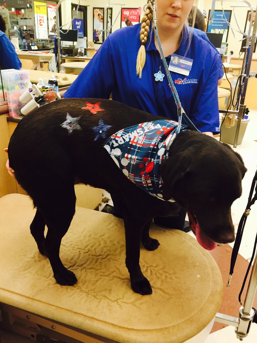 "Nutella" is all ready for Memorial Day! #NEPetexpressions #inspiredbypets