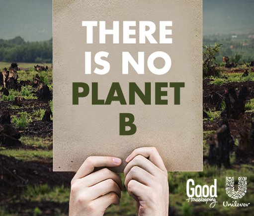 GoodHouseSA's tweet photo. Replant the rain forests one tweet at a time! RT and @UnileverSA will plant a tree on your behalf! #SendASeed https://t.co/7N5d1zarK1